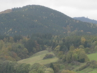 Eichelnkopf