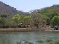 Elephanta Island