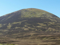 The Sow of Atholl