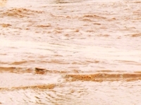 Todd River