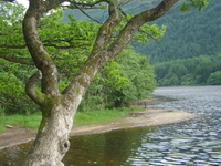 Trossachs Trossachs