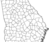 Union County Union County