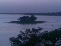 Bhoj Wetland