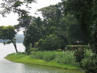 Upper Seletar Reservoir Upper Seletar Reservoir