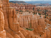 Pink Cliffs