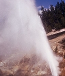 Valentine Geyser