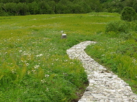 Valley of Flowers National Park