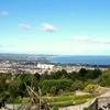 Belfast Zoo