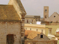 Bitonto