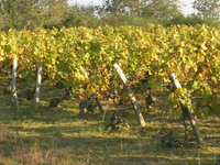 Pays de la Loire Pays de la Loire