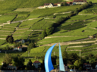 Lavaux