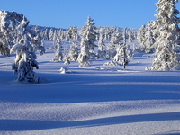 Buskerud