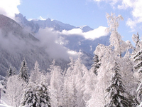 Argentiere Argentiere