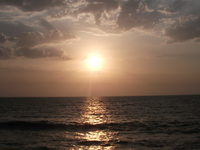 Worli Worli