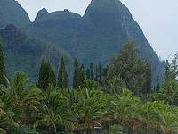 Wainiha