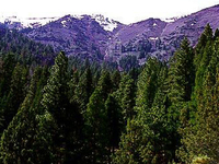 Warner Mountains Warner Mountains