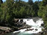 Puyehue National Park
