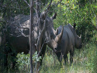 Matobo National Park