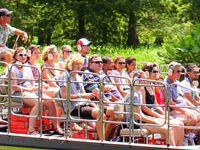 Wild Florida Airboats