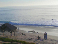 Windansea Beach Windansea Beach