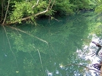 Wolf River