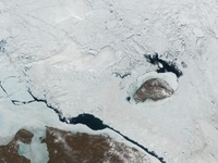 Wrangel Island