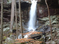 Sipsey Wilderness