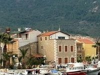 Yenifoca Yenifoca