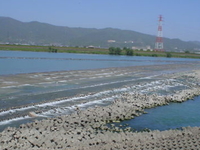 Yoshino River