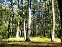 Zlota Gora Reserve