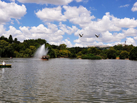 Zoo Lake Zoo Lake
