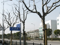 Zhangjiang Hi Tech Park Zhangjiang Hi Tech Park
