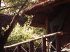 Samburu Game Lodge