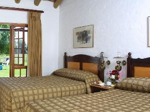 Room Room