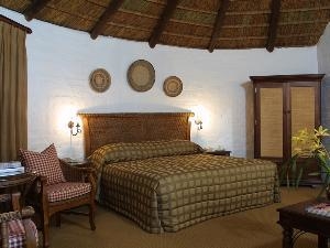 Room Room