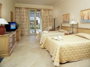 Room Room
