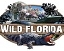 Wild Florida Wild Florida