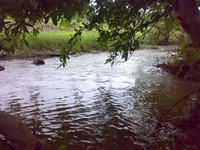 Image047