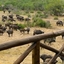 Kruger National Park, South Africa