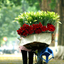 Indochinabesttravel Indochinabesttravel