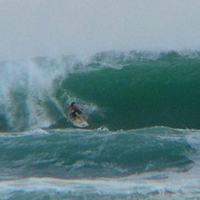 Matt Scarff
