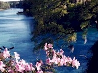 Rainbow River Rainbow River