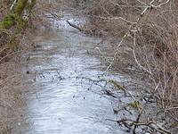 Rogue River South Yamhill Rogue River South Yamhill