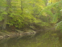 Chester Creek Chester Creek