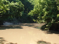 Buffalo Bayou Buffalo Bayou