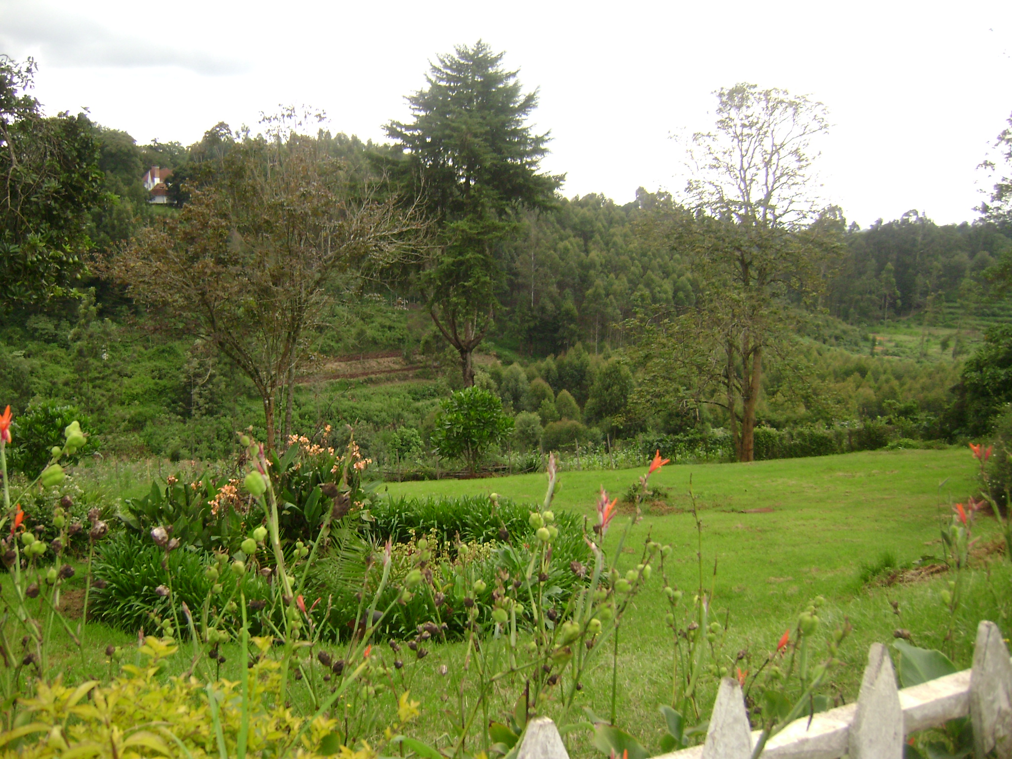 TigoniHomestay, Nairobi, Kenya Tourist Information