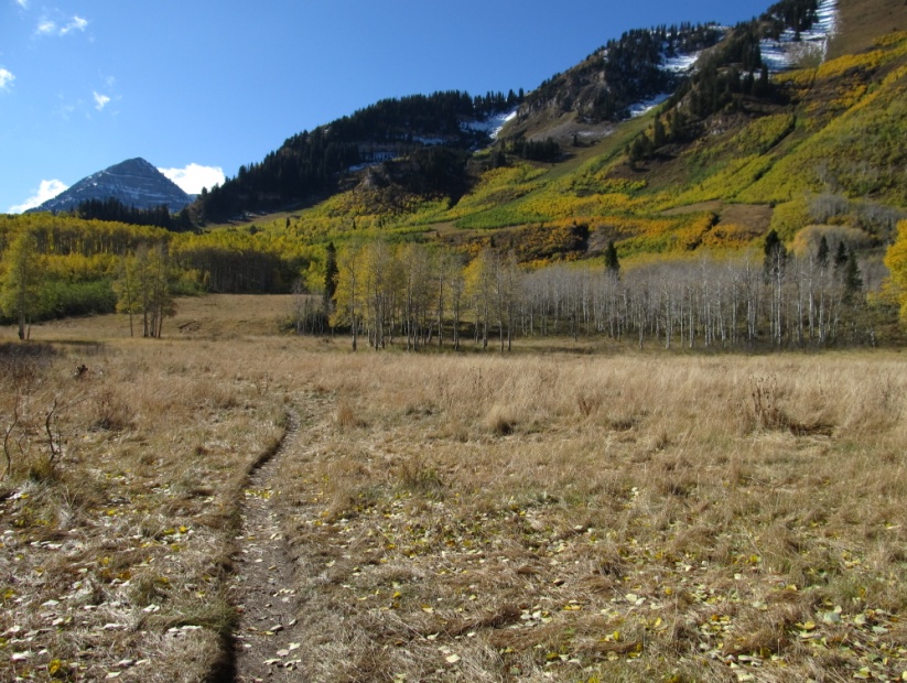 Saddle Up for Adventure: Unveiling the Charms of Horse Flats Campground