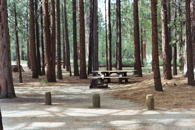 Escape to Montana's Wild Side: A Guide to Mono Creek Campground