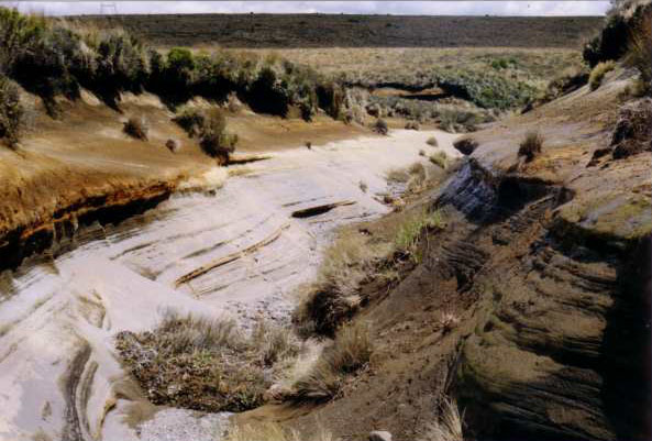 Rangipo Desert New Zealand Tourist Information