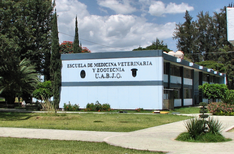 Benito Juarez Autonomous University Of Oaxaca Oaxaca City